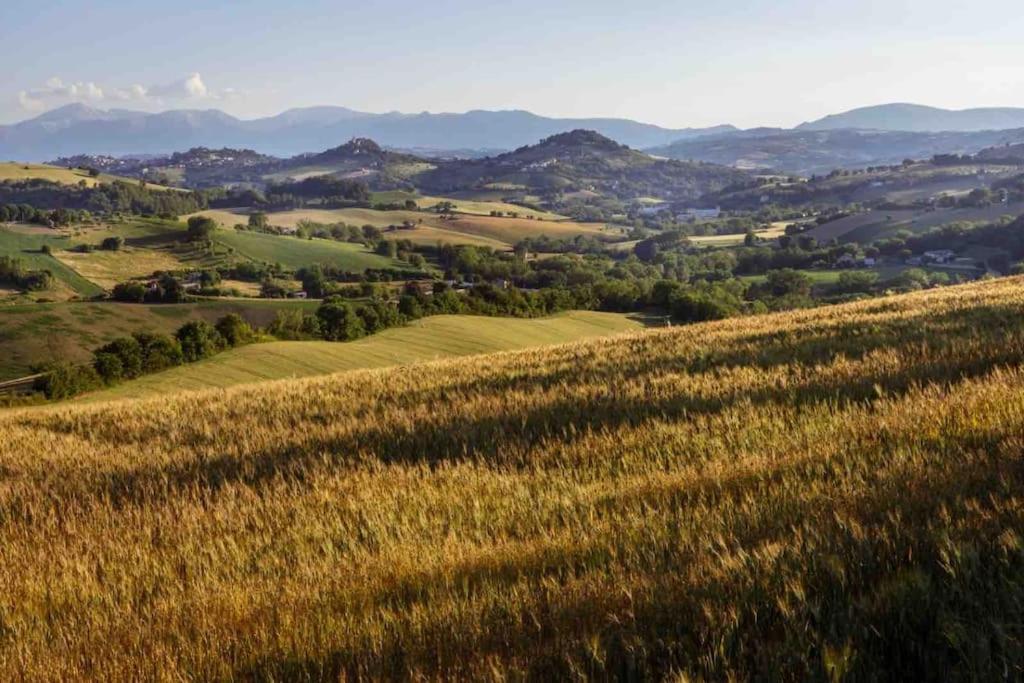 Casa In Campagna La Roverella Francavilla dʼEte Exteriér fotografie