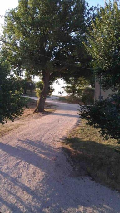 Casa In Campagna La Roverella Francavilla dʼEte Exteriér fotografie