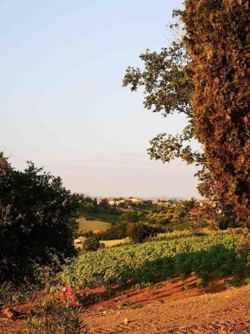 Casa In Campagna La Roverella Francavilla dʼEte Exteriér fotografie