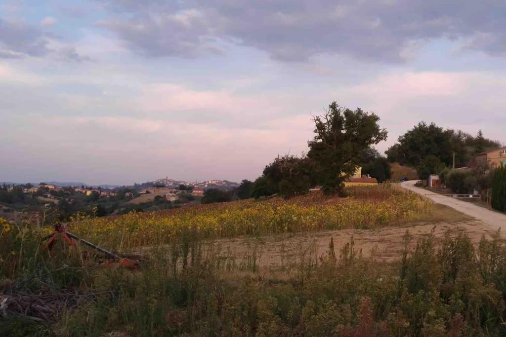Casa In Campagna La Roverella Francavilla dʼEte Exteriér fotografie