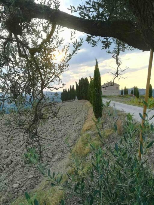 Casa In Campagna La Roverella Francavilla dʼEte Exteriér fotografie