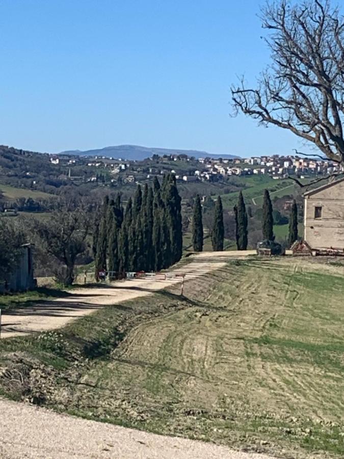 Casa In Campagna La Roverella Francavilla dʼEte Exteriér fotografie