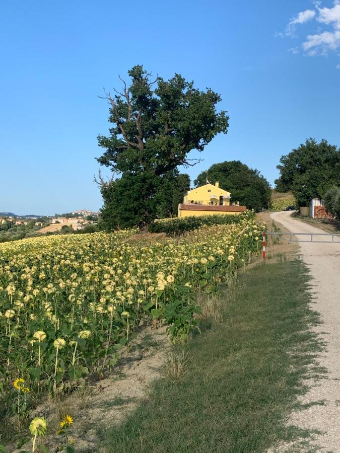 Casa In Campagna La Roverella Francavilla dʼEte Exteriér fotografie
